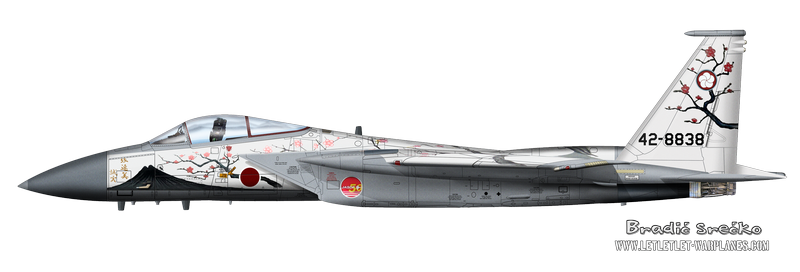 F-15 Japan 838