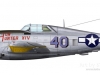 p-47d-hun-hunter-xiv.jpg