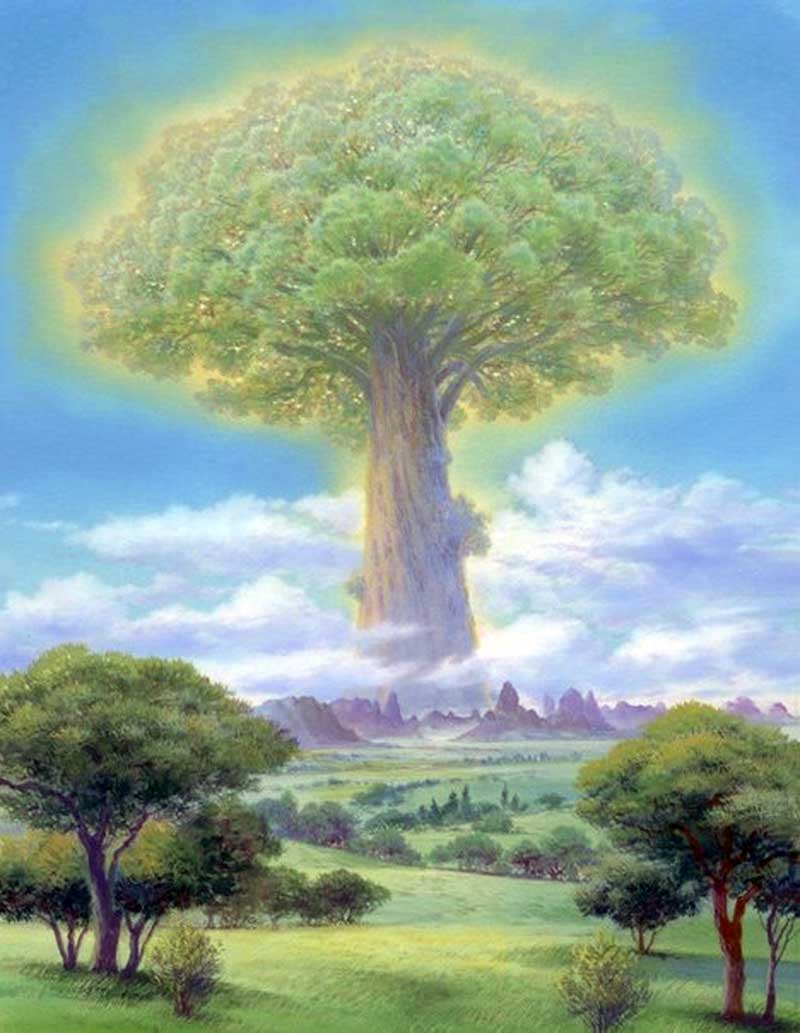 Људи снажног духа су као дрвеће које израсте снажно и својим корењем подигне све на виши ниво око себе