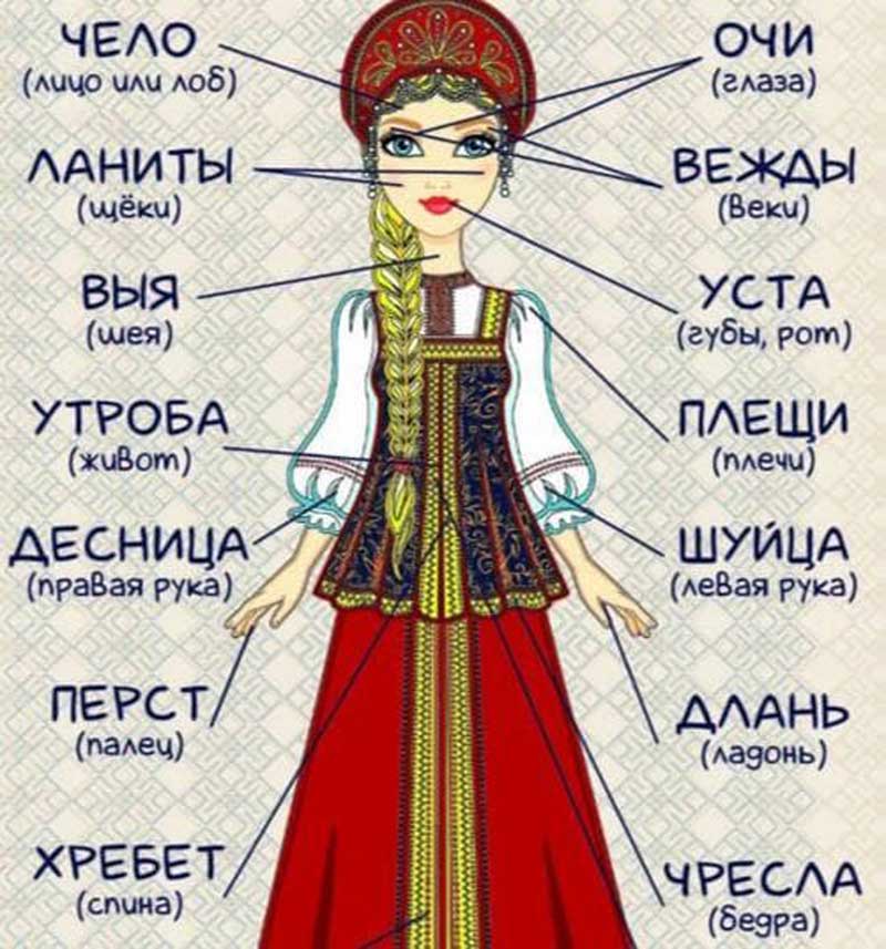 Врло симпатична илустрација урађена од самих Руса показује како се савремени Руски језик разликује од давног Руског језика. Те давне речи су дате великим словима и одмах упада у очи да је тај језик малте не 100% данашњи Српски.