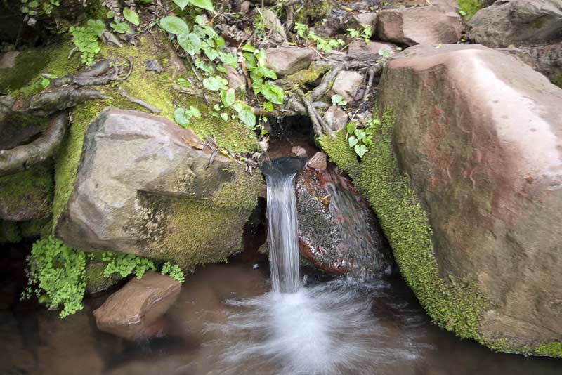 Жуборење воде сваког опушта али и добро је да олади пиво