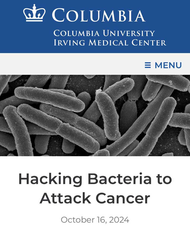 Једно од обећаних решења које није никад заживело